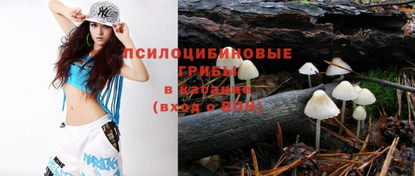 apvp Балабаново