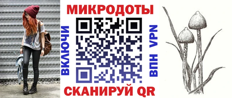 наркотики  Воронеж  Галлюциногенные грибы Magic Shrooms 